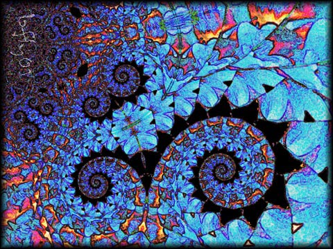 blue flowers by brian foley